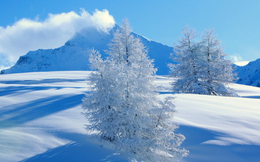 485792 (a): :1920x1200